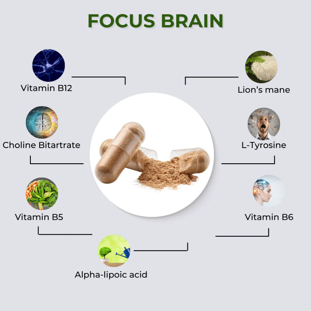 fabÜ, FOCUS Brain 60 Capsules
