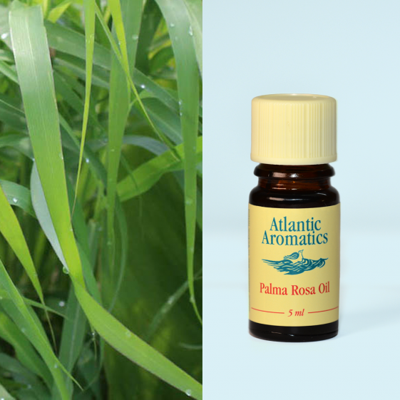 Atlantic Aromatics, Spearmint Oil 5ml Default Title