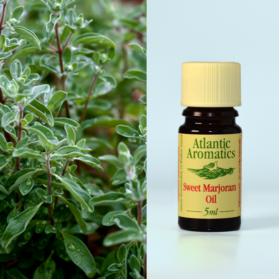 Atlantic Aromatics, Marjoram Sweet 5ml Default Title