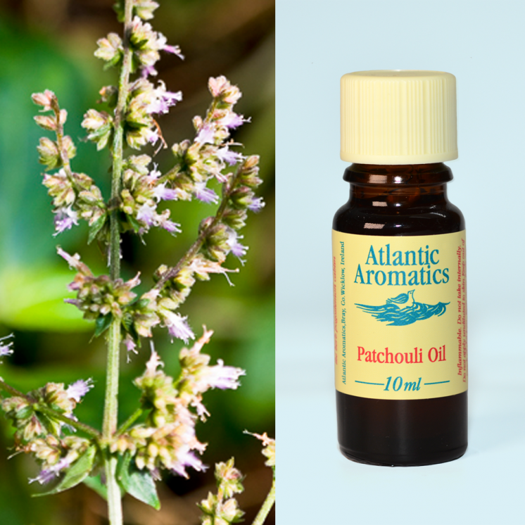 Atlantic Aromatics, Patchouli 10ml Default Title