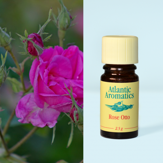 Atlantic Aromatics, Rose Otto 2.5g Default Title