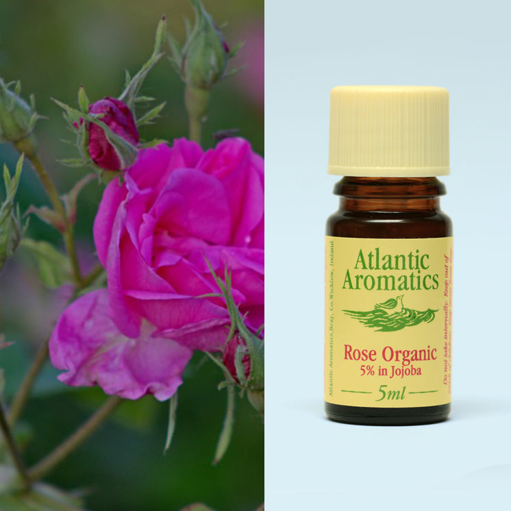 Atlantic Aromatics, Rose 5% Exact In Jojoba 5ml Default Title