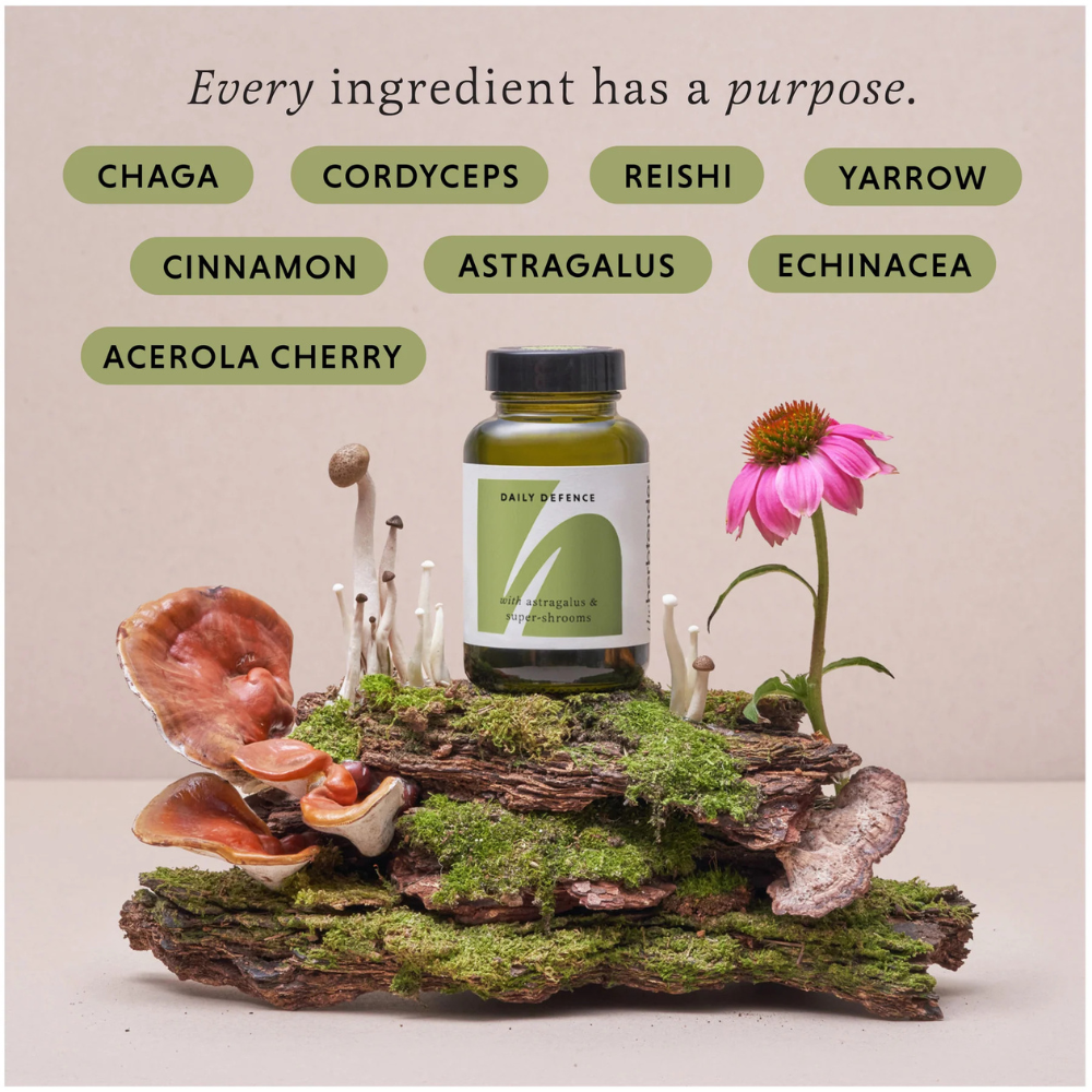 The Herbtender, Daily Defense Astragalus & Super-shrooms 60 Vegan Capsules