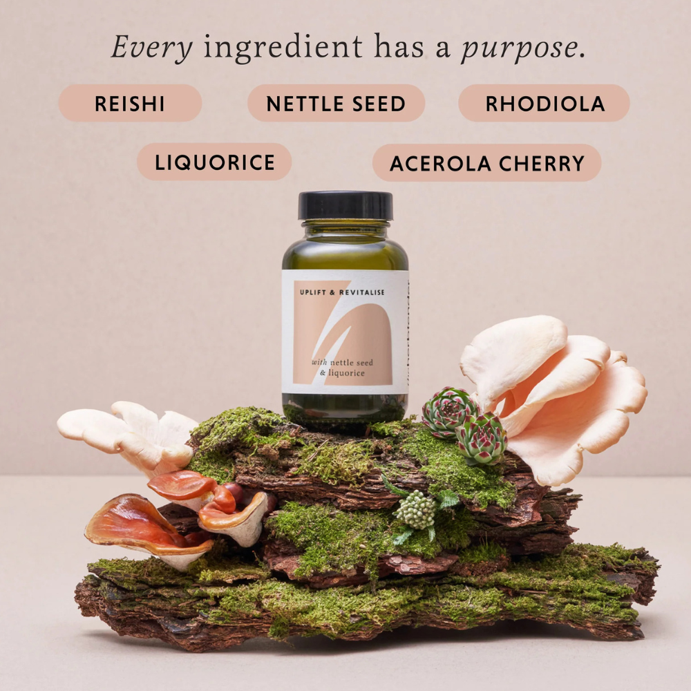 The Herbtender, Uplift & Revitalise Reishi & Nettle Seed 60 Vegan Capsules