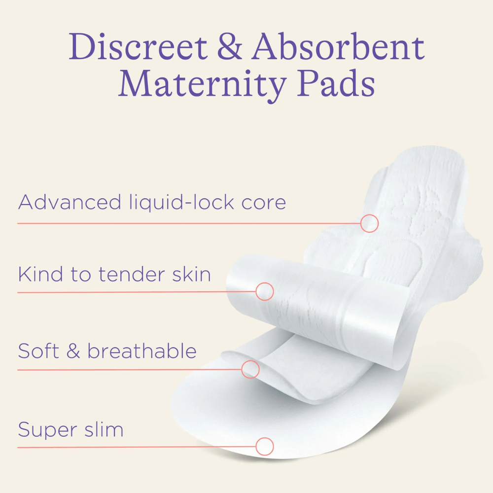 Lansinoh®, Discreet & Absorbent Maternity Pads: 2+ Weeks Post Birth 12 Pack