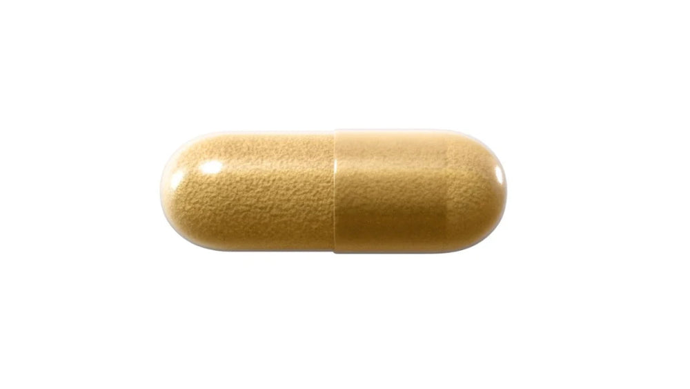 Natroceutics , Lion's Mane Bioactive 60s