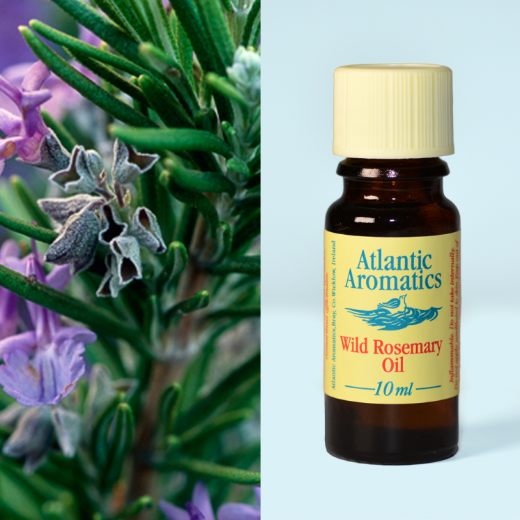 Atlantic Aromatics, Rosemary Oil Wild 10ml Default Title