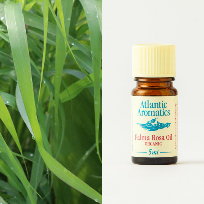 Atlantic Aromatics, Palma Rosa 5ml Default Title
