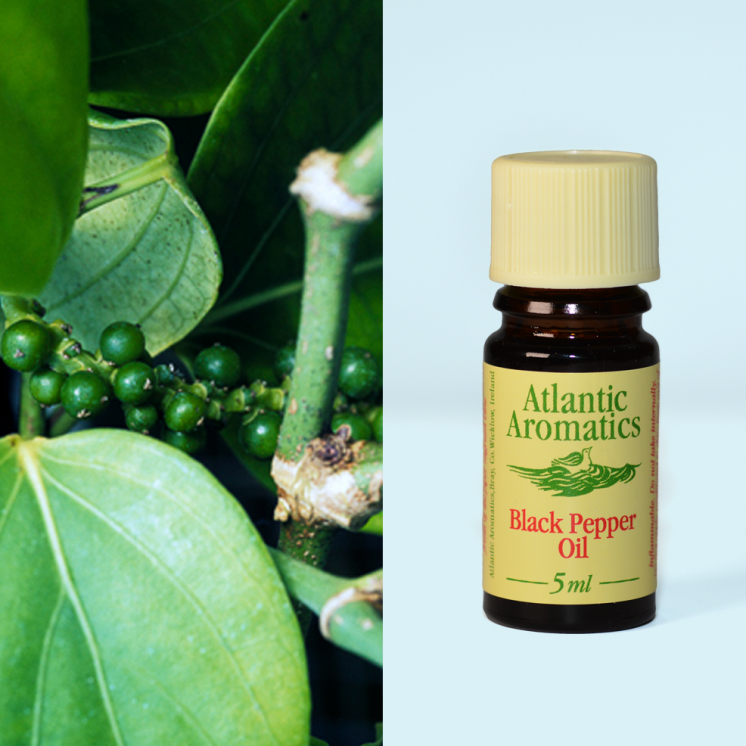 Atlantic Aromatics, Black Pepper 5ml Default Title