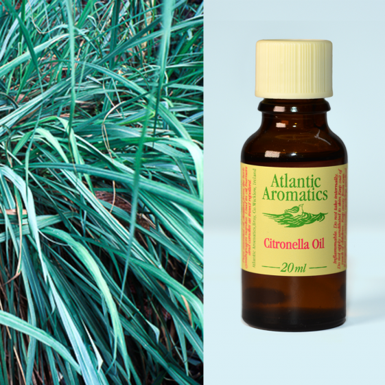 Atlantic Aromatics, Citronella 20ml Default Title