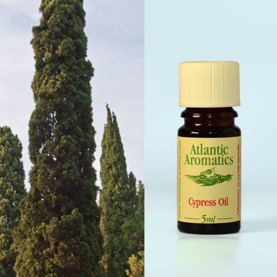 Atlantic Aromatics, Cypress 5ml Default Title