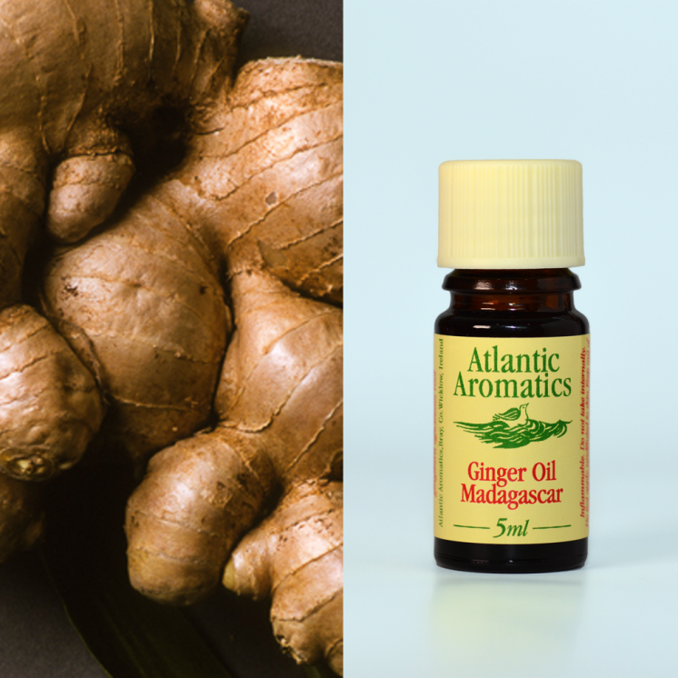 Atlantic Aromatics, Ginger 5ml Default Title