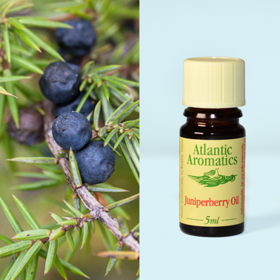 Atlantic Aromatics, Juniperberry 5ml Default Title