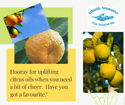 Atlantic Aromatics, Lemon 10ml Default Title