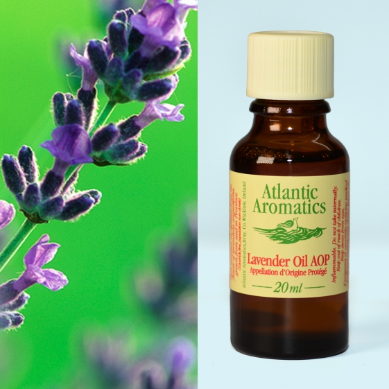 Atlantic Aromatics, Lavender 20ml Default Title