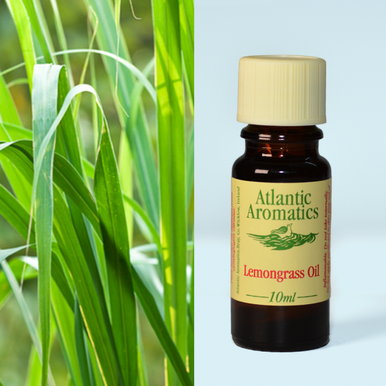Atlantic Aromatics, Lemongrass 10ml Default Title