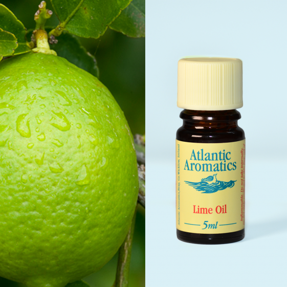 Atlantic Aromatics, Lime 5ml Default Title