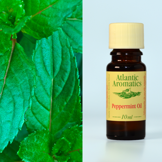 Atlantic Aromatics, Peppermint 10ml Default Title