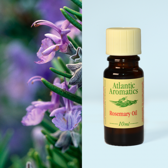 Atlantic Aromatics, Rosemary Oil 10ml Default Title
