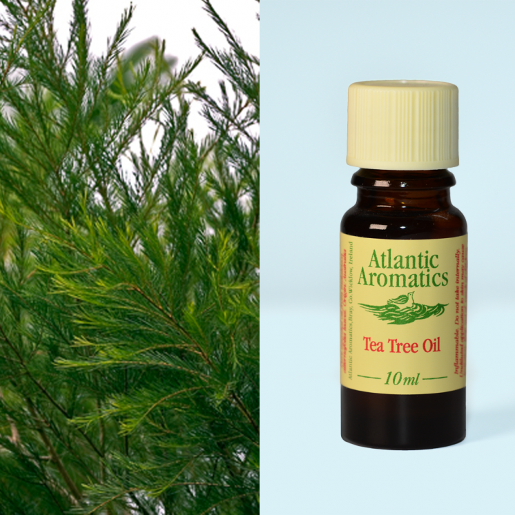 Atlantic Aromatics, Tea Tree Organic 10ml Default Title