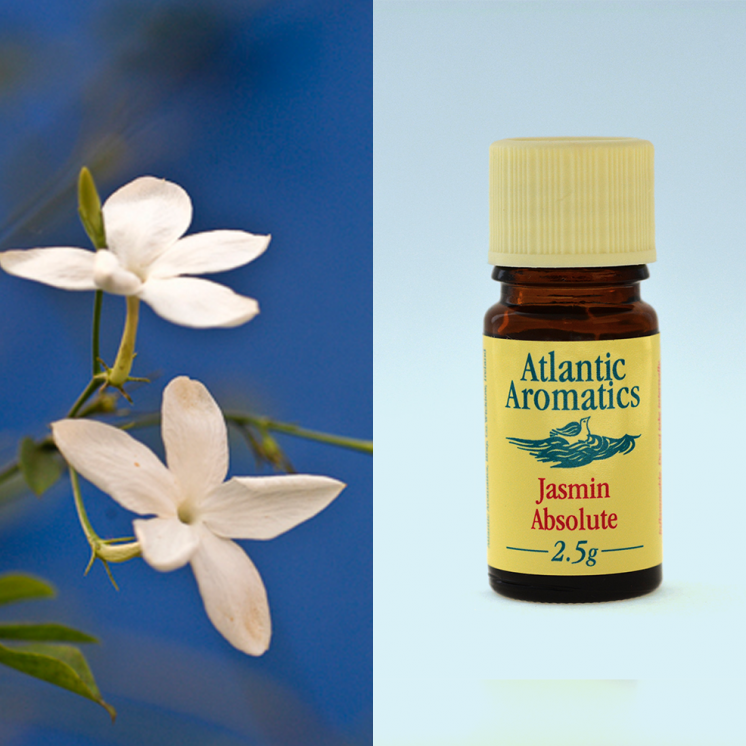 Atlantic Aromatics, Jasmin Absolute 2.5g Default Title