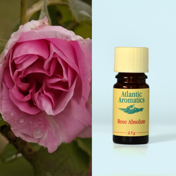 Atlantic Aromatics, Rose Absolute 2.5g Default Title