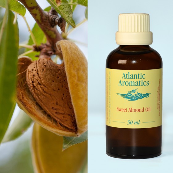 Atlantic Aromatics, Sweet Almond Oil 50ml Default Title