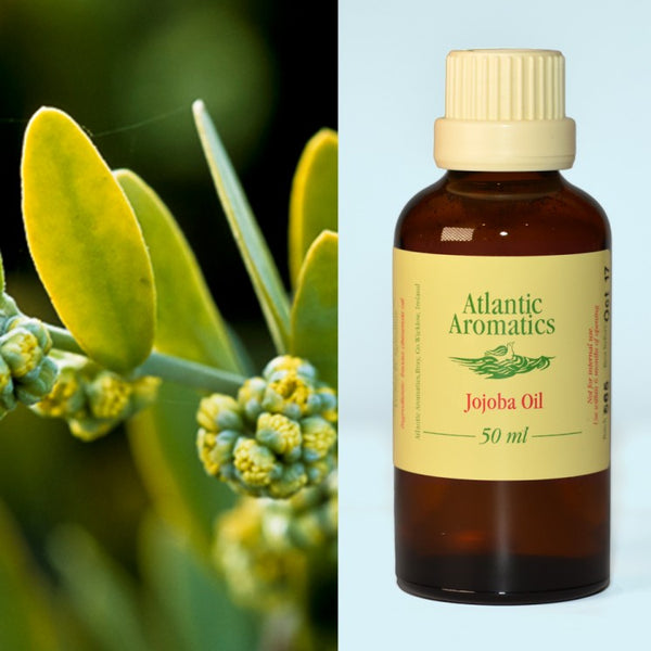 Atlantic Aromatics, Jojoba Oil 50ml Default Title