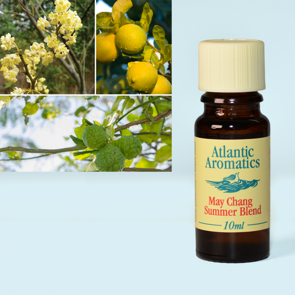 Atlantic Aromatics, May Chang Summer Blend 10ml Default Title