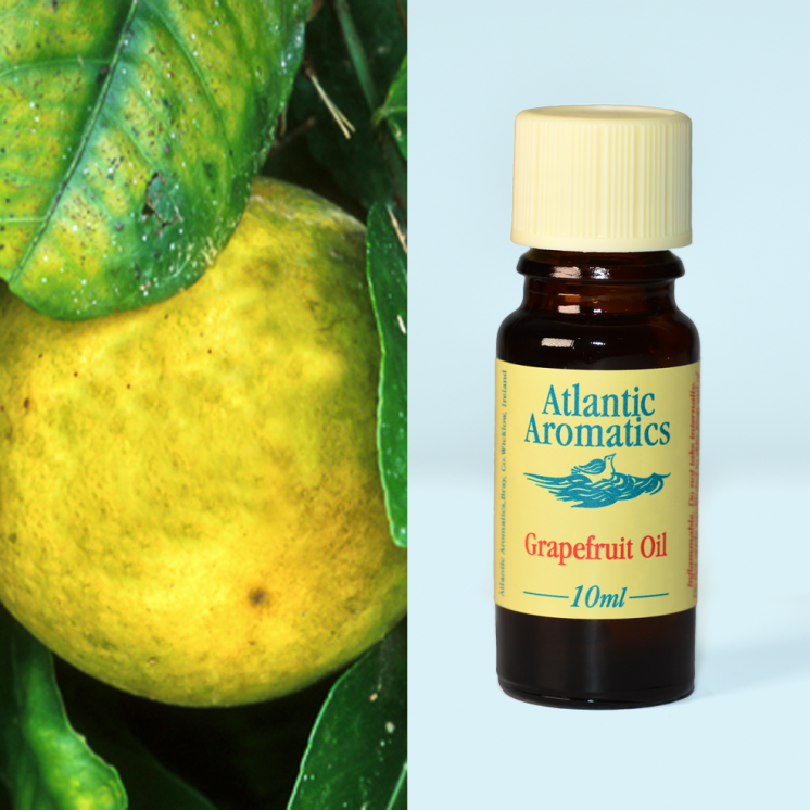 Atlantic Aromatics, Grapefruit 10ml Default Title