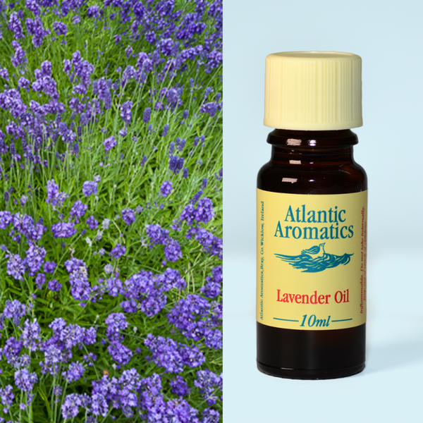 Atlantic Aromatics, Lavender 10ml Default Title
