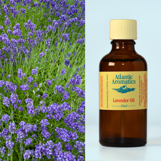 Atlantic Aromatics, Lavender 50ml Default Title