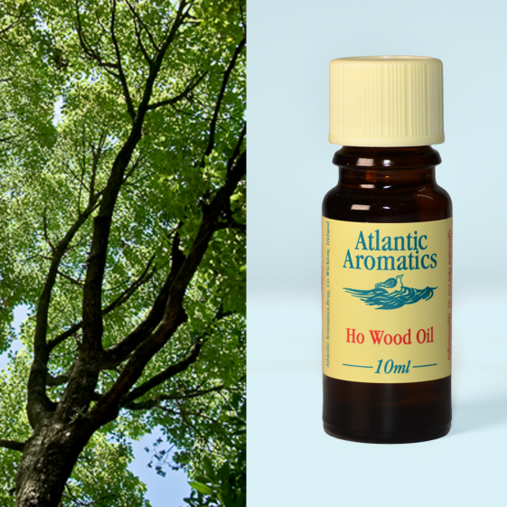Atlantic Aromatics, Ho Wood 10ml Default Title