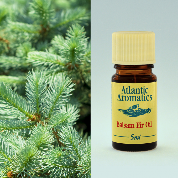 Atlantic Aromatics, Balsam Fir 5ml Default Title