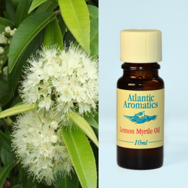 Atlantic Aromatics, Lemon Myrtle 10ml Default Title