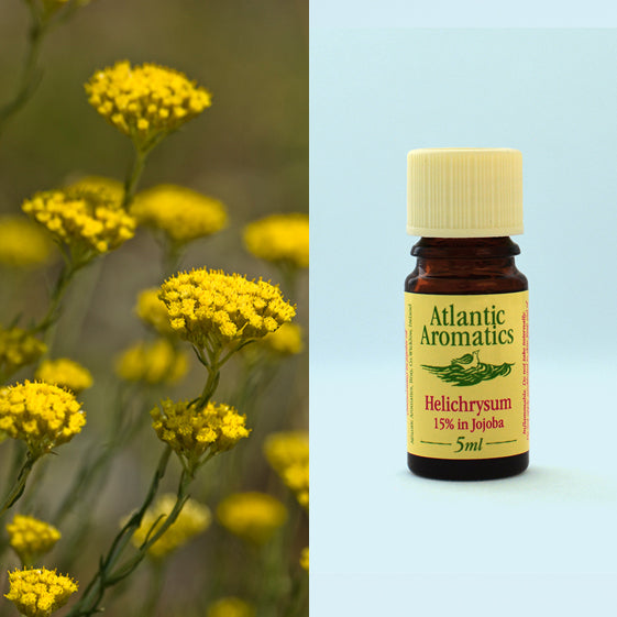 Atlantic Aromatics, Helichrysum 5ml Default Title