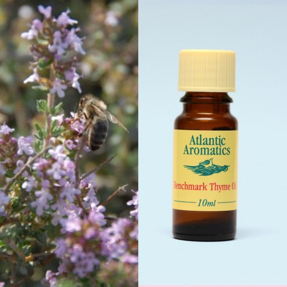 Atlantic Aromatics, Benchmark Thyme 10ml Default Title