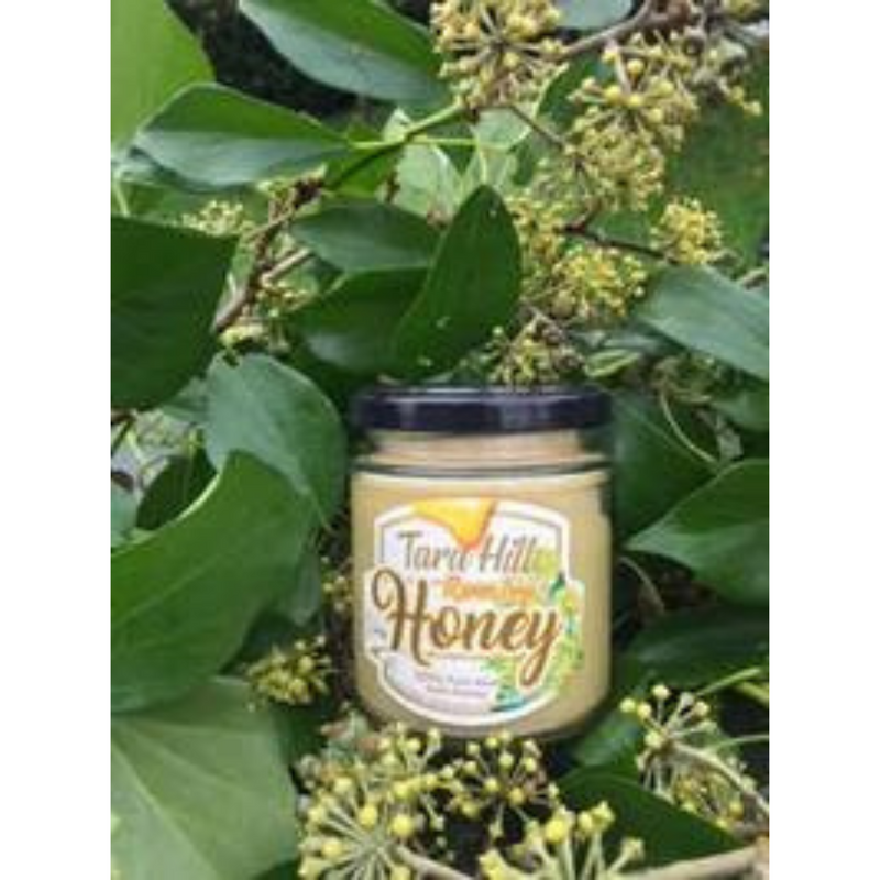 Tara Hill, Irish Ivy Honey 227g