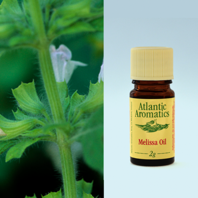 Atlantic Aromatics, Melissa Organic 2ml